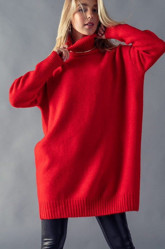 Snail -  Red Long Sleeve Sweater Dress