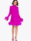 Chicken - Feather Trimmed Long Sleeve Mini Pink Dress